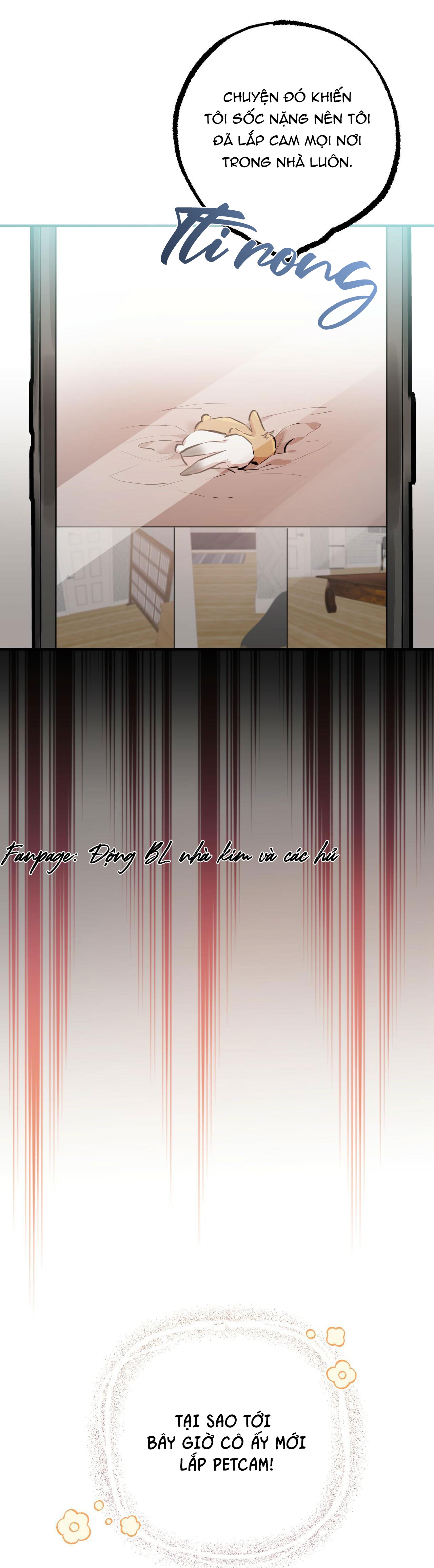 những chú thỏ của hapypy chapter 28 24