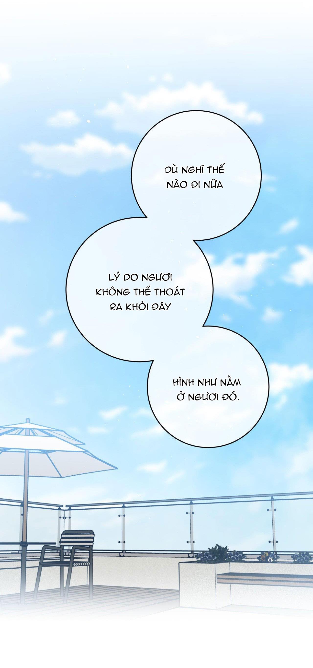 cơn mưa rào mùa hạ chapter 28 51