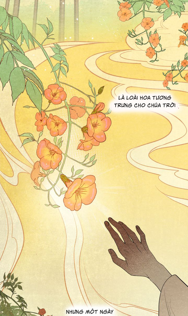 khi những nụ hoa nở rộ chapter 1 19