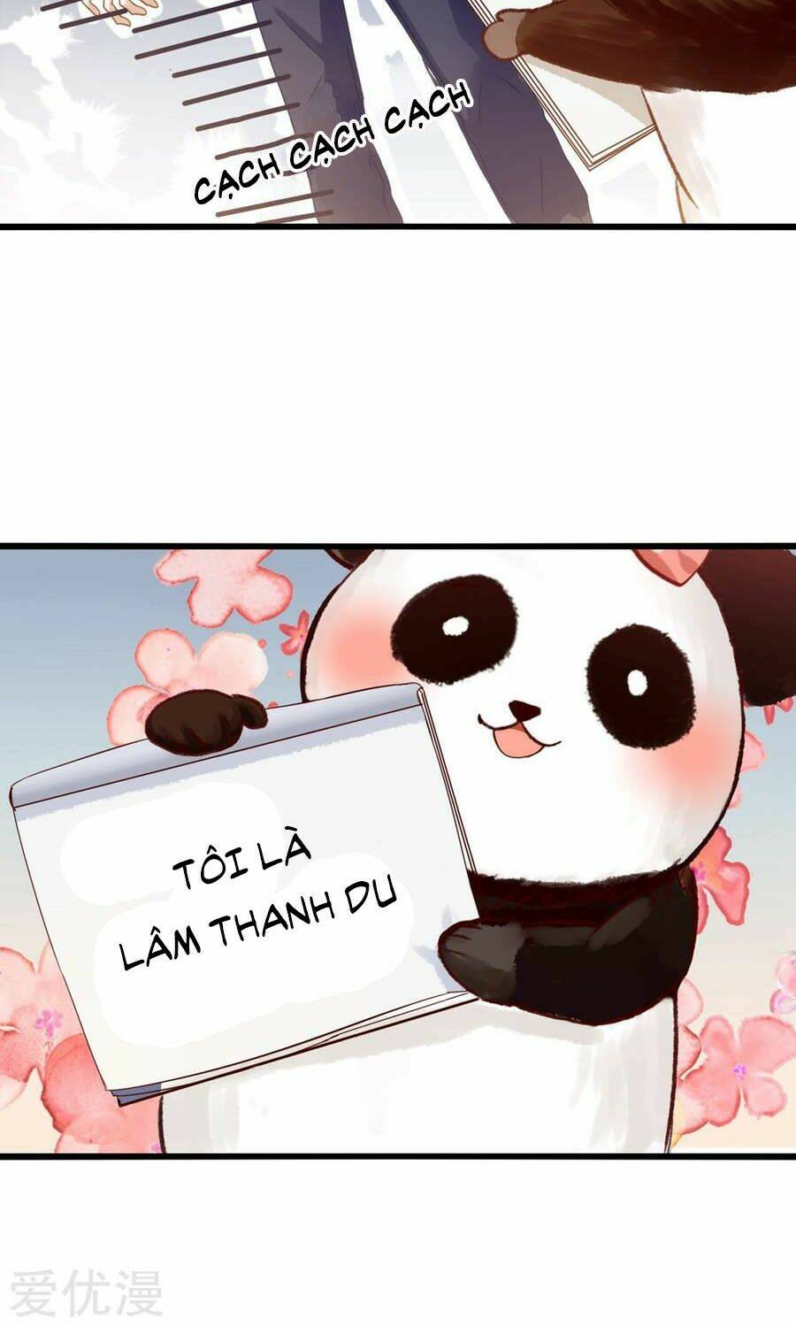 tôi bị gấu trúc nhìn trúng rồi chapter 2 33