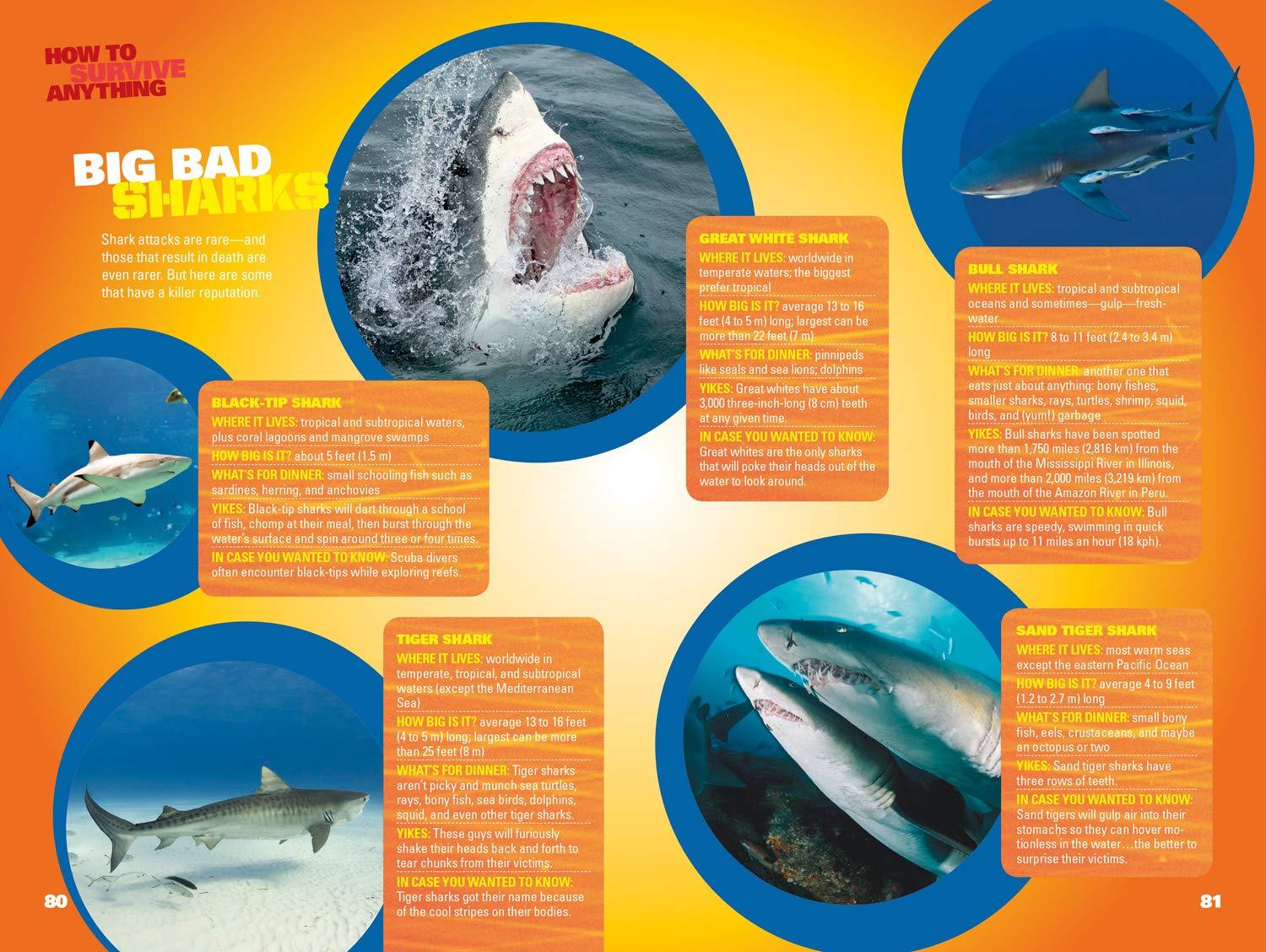 Sách ngoại văn: How to Survive Anything: Shark Attack, Lightning, Embarrassing Parents, Pop Quizzes, and Other Perilous Situations (National Geographic Kids)