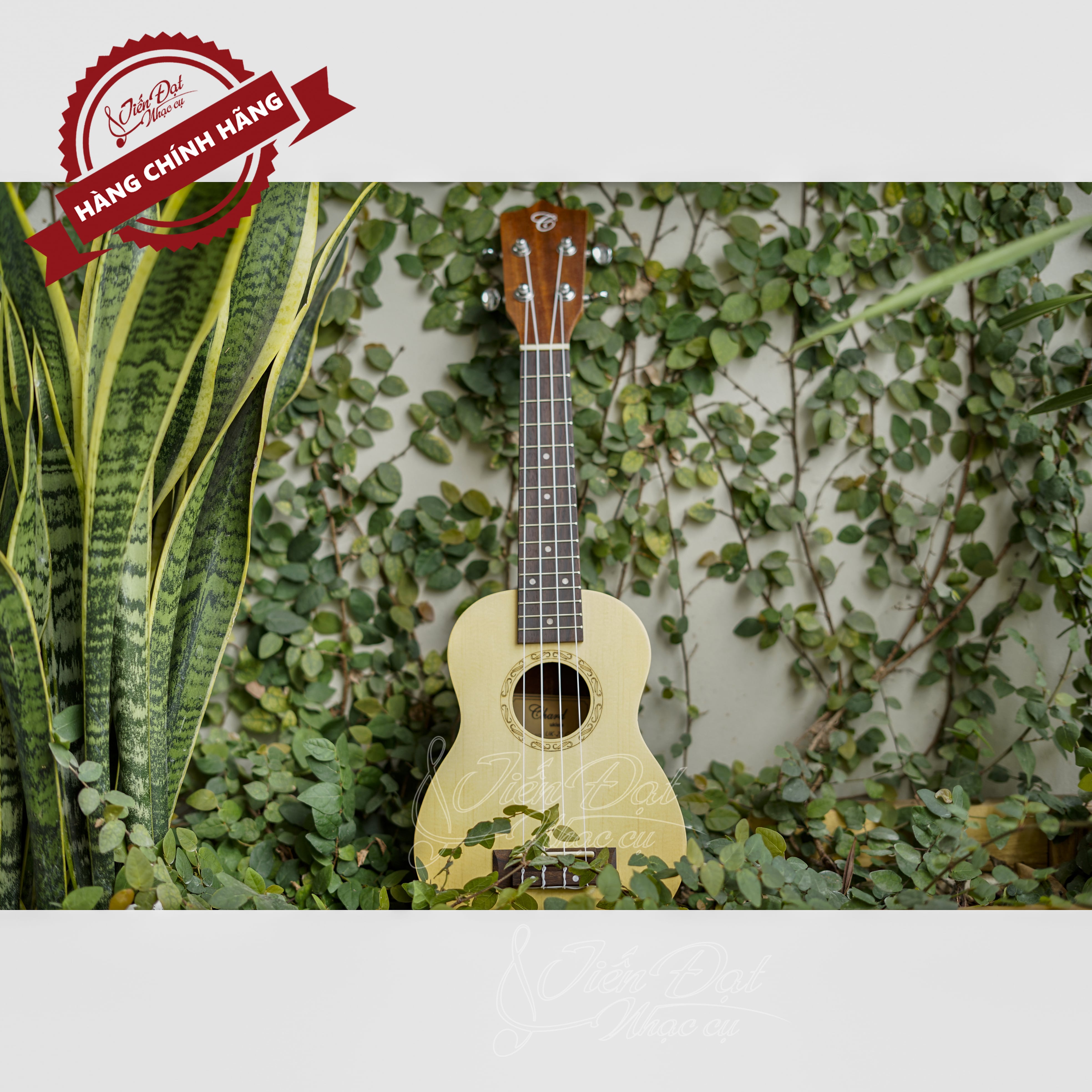 Đàn Ukulele Soprano Chard U-21C, Mặt Đàn Gỗ Vân Sam - Hàng Chính Hãng