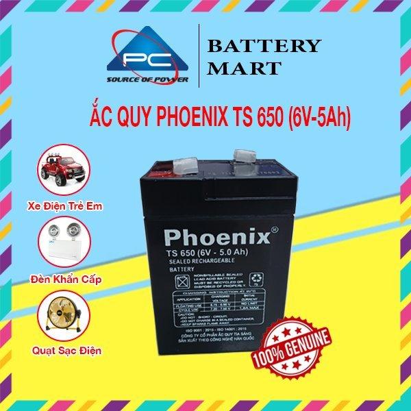 Ắc Quy PHOENIX TS 650 6V-5Ah - Chuyên Dùng Cho Nguồn Dự Phòng (UPS, Inverter, ...)