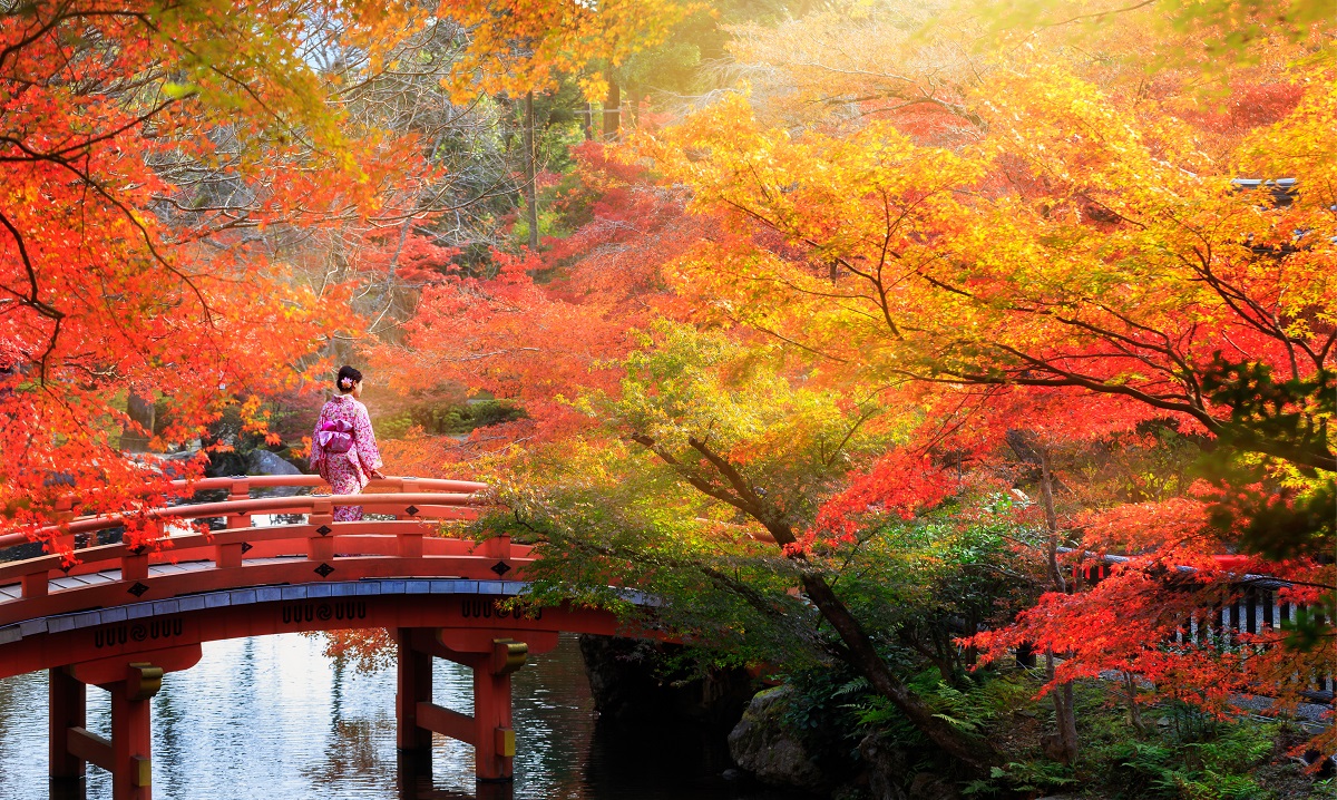 Bộ tranh xếp hình jigsaw puzzle cao cấp 1500 mảnh – Kyoto Vào Thu