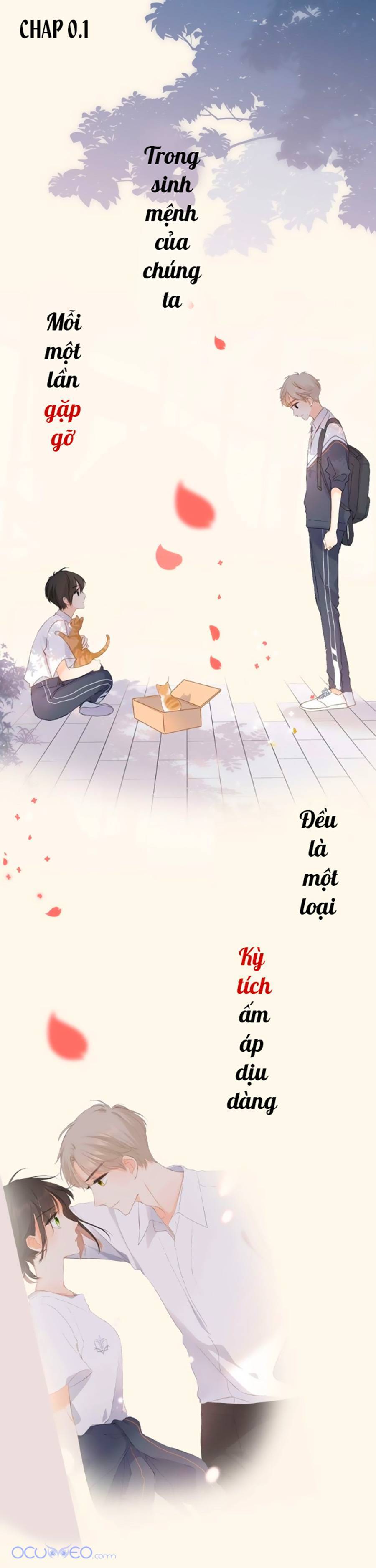 lại gặp được em chapter 0.2 2