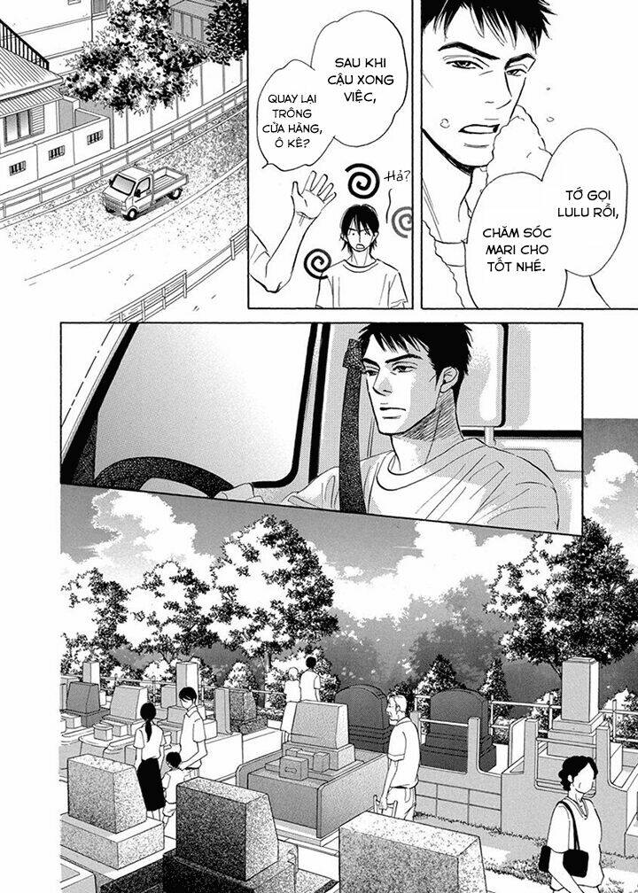 chàng giúp việc tada chapter 11 11