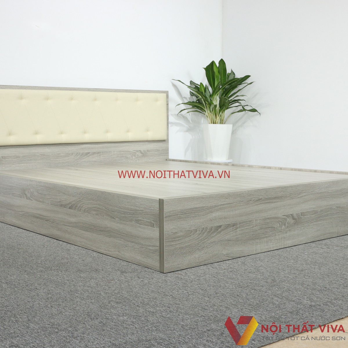 Giường Ngủ Gỗ MDF Melamine Màu Xám Vân Gỗ Có Đầu Nệm Kem Đẹp Hiện Đại