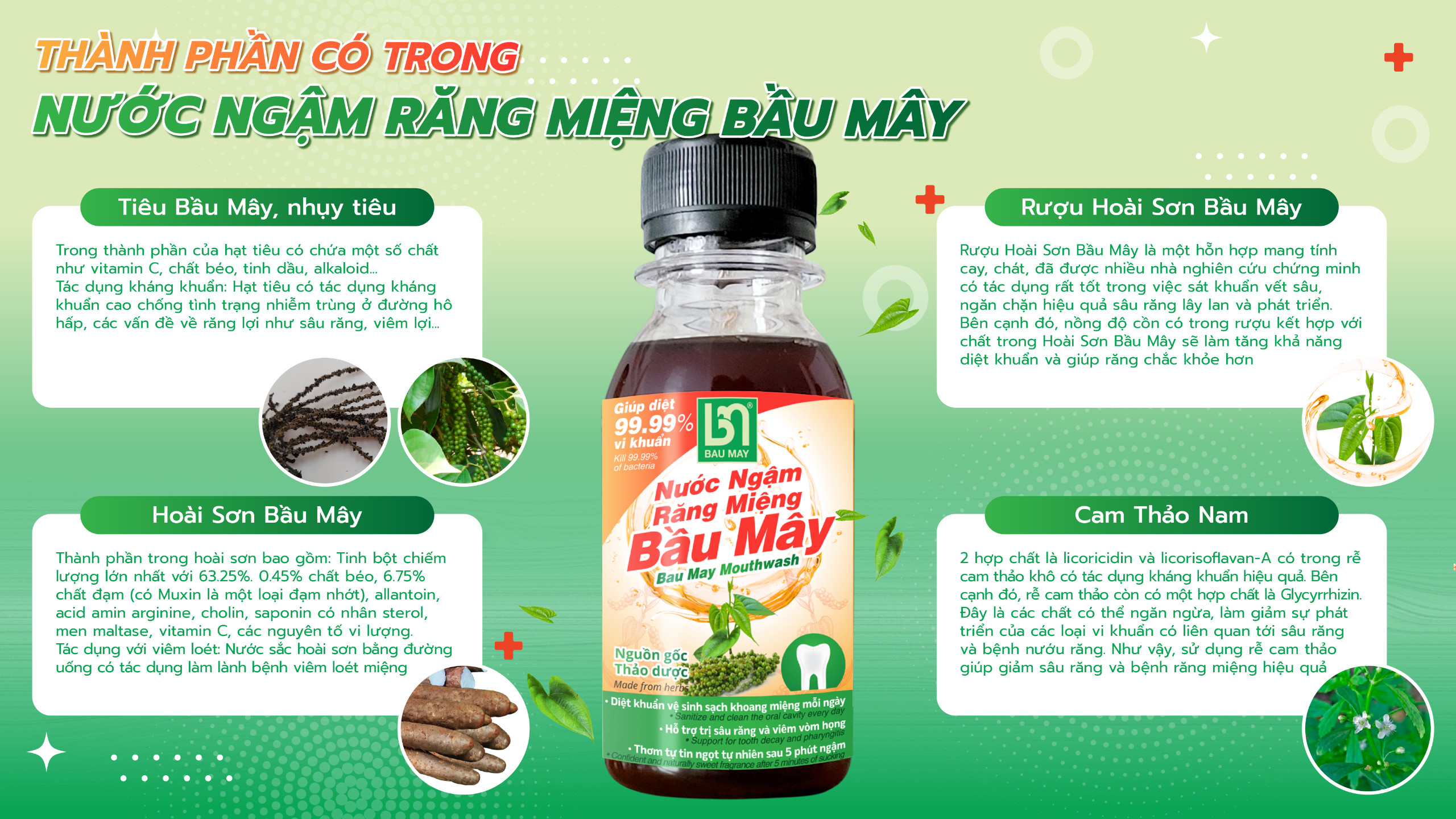 Nước ngậm Răng Miệng Bầu Mây 120ml - Nguồn gốc Thảo dược, dứt điểm sâu răng - viêm lợi - tụt lợi - nhiệt miệng