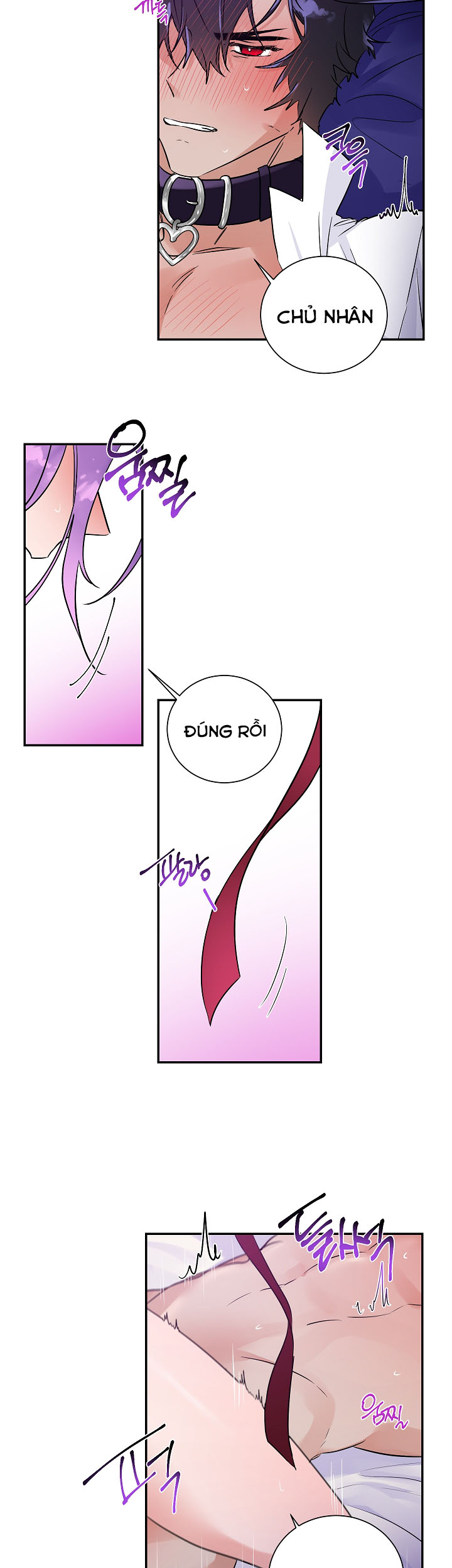 thuần phục người sói chapter 6 6