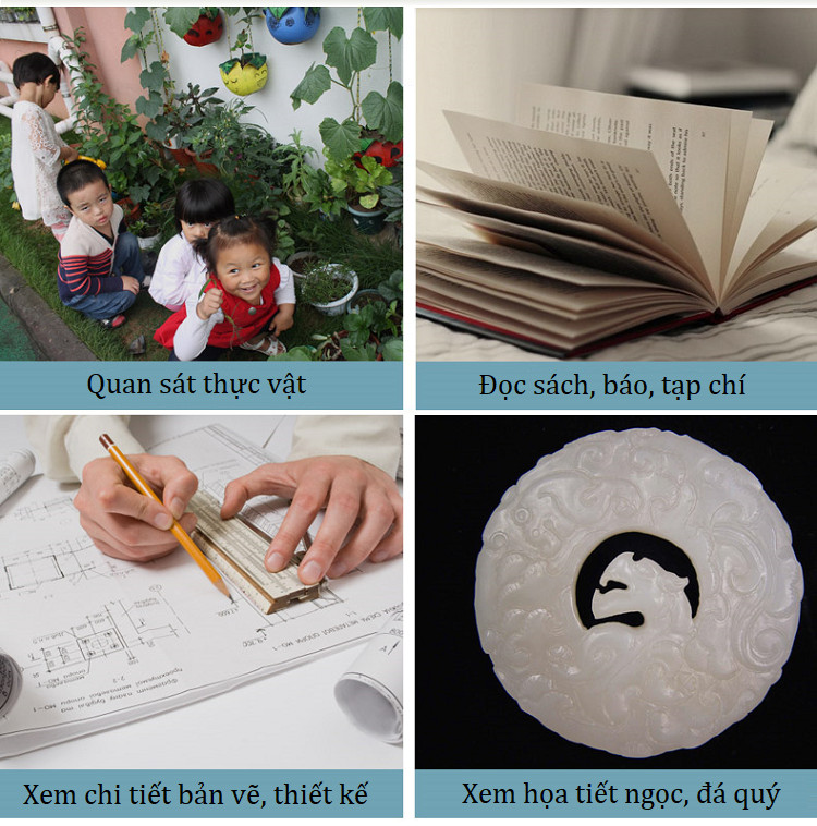 Kính Lúp 8X Cầm Tay 62mm - Giao màu ngẫu nhiên