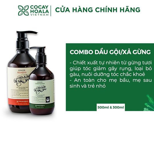 Combo Dầu gội,xả gừng - COCAYHOALA