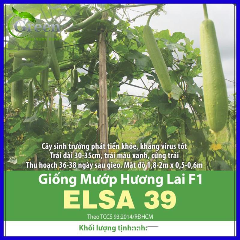 Hạt Giống Mướp Hương Lai F1 ELSA