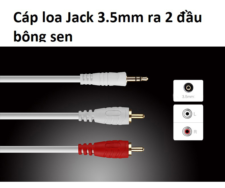 Cáp 3.5mm Ra Hai Đầu Bông Sen dài 1.8m