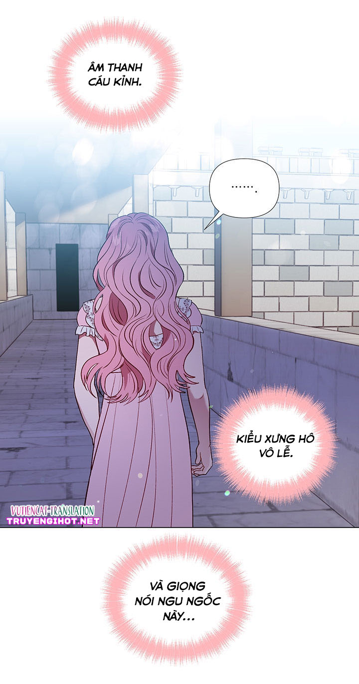 elizabeth chapter 23 19