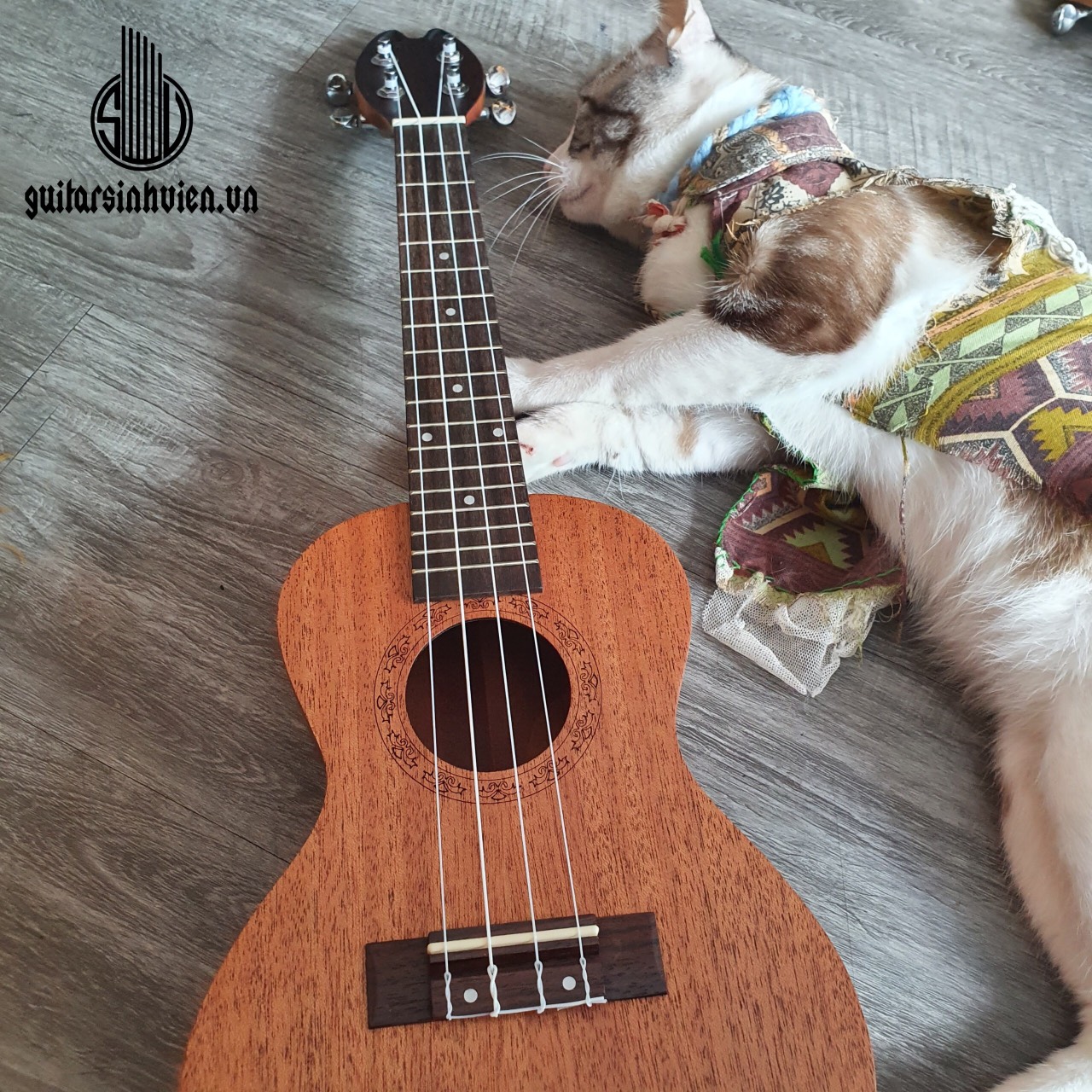 Đàn ukulele concert Size 23 giá rẻ - cao 62cm