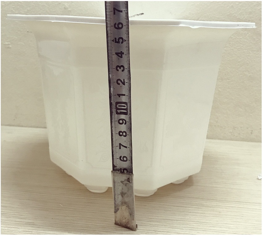 3 Chậu Nhựa Bát Giác 210x170 Màu Trắng