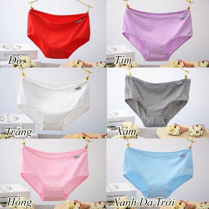 Combo 10 quần lót cotton chất đẹp