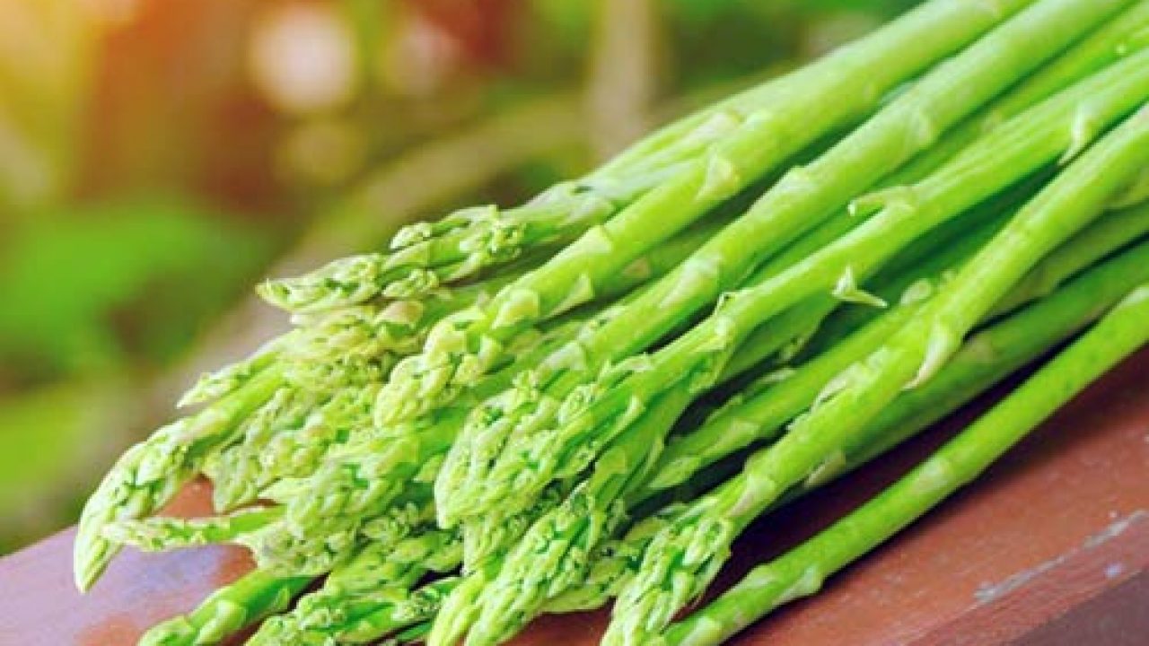 1 gói hạt giống măng tây xanh - The Xanh