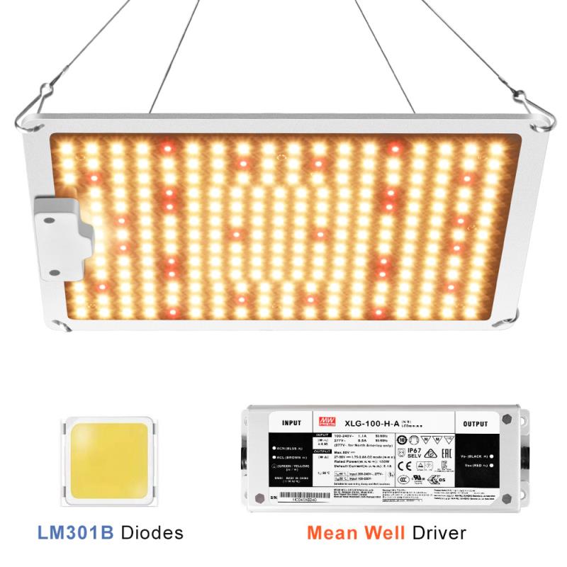 Đèn trồng cây Lượng tử QBC1000, Led grow lights chip Samsung 1000W