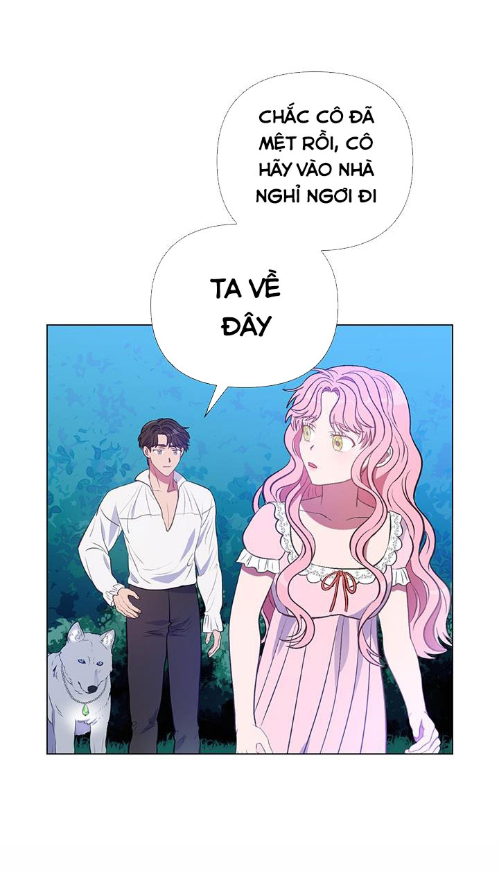 elizabeth chapter 11 17