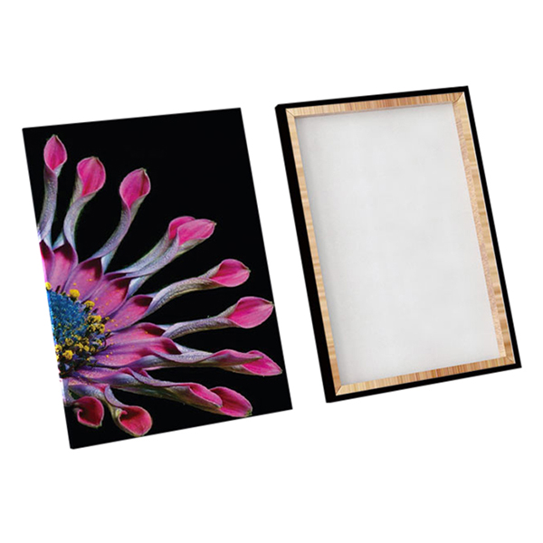 Bộ 2 Tranh Canvas "Nhất Hương" - W145