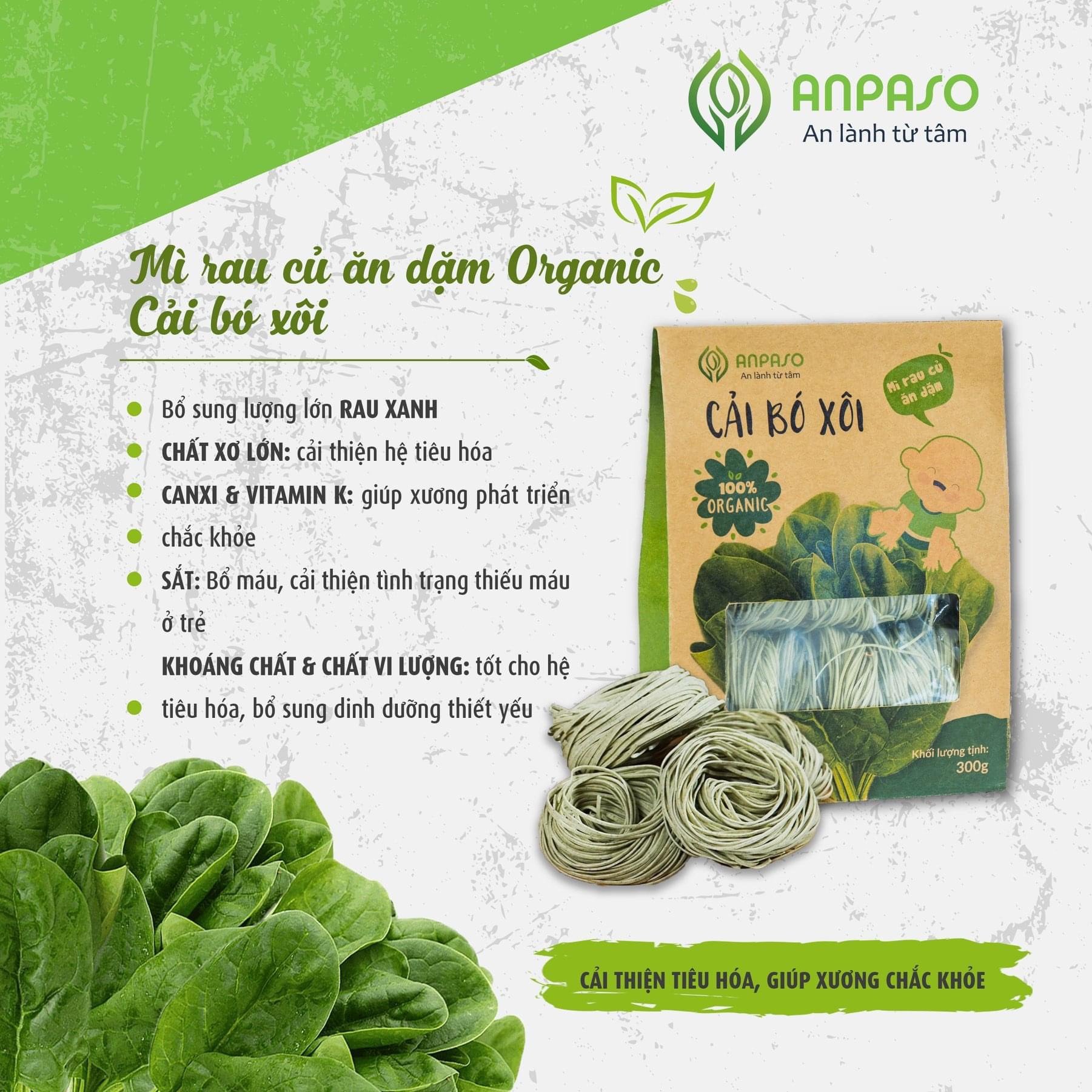 Mì Rau Củ Ăn Dặm Vị Cải Bó Xôi Organic Anpaso 300gr
