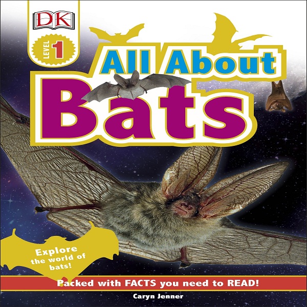 All About Bats