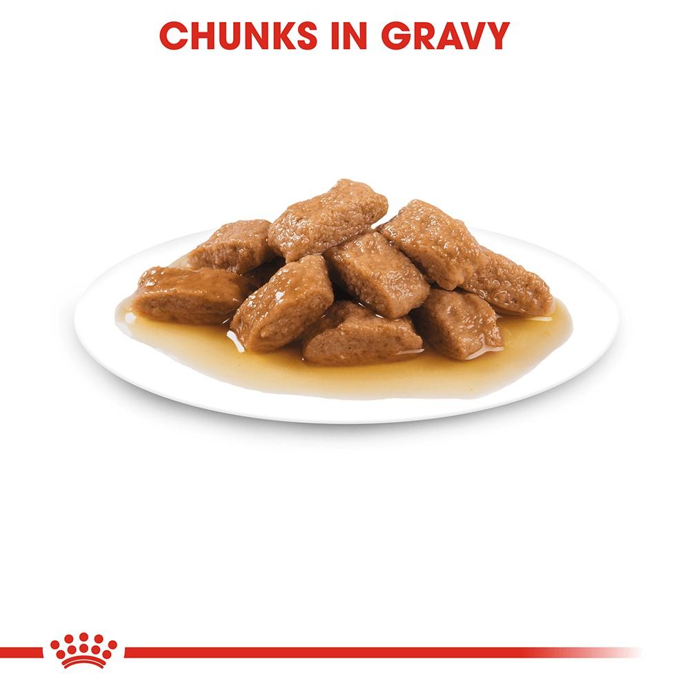 Pate Cho Chó Royal Canin Medium Adult