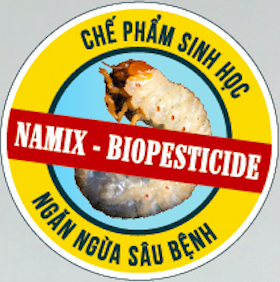 tiêu diệt sùng đất