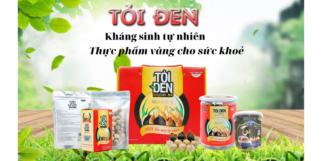 Combo 3 túi tỏi đen KOCHI cô đơn cao cấp 250g
