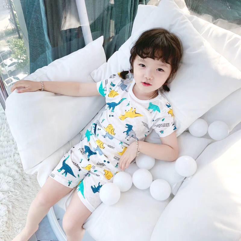Quần áo trẻ em - bé trai, bé gái khủng long QC cao cấp loại 1