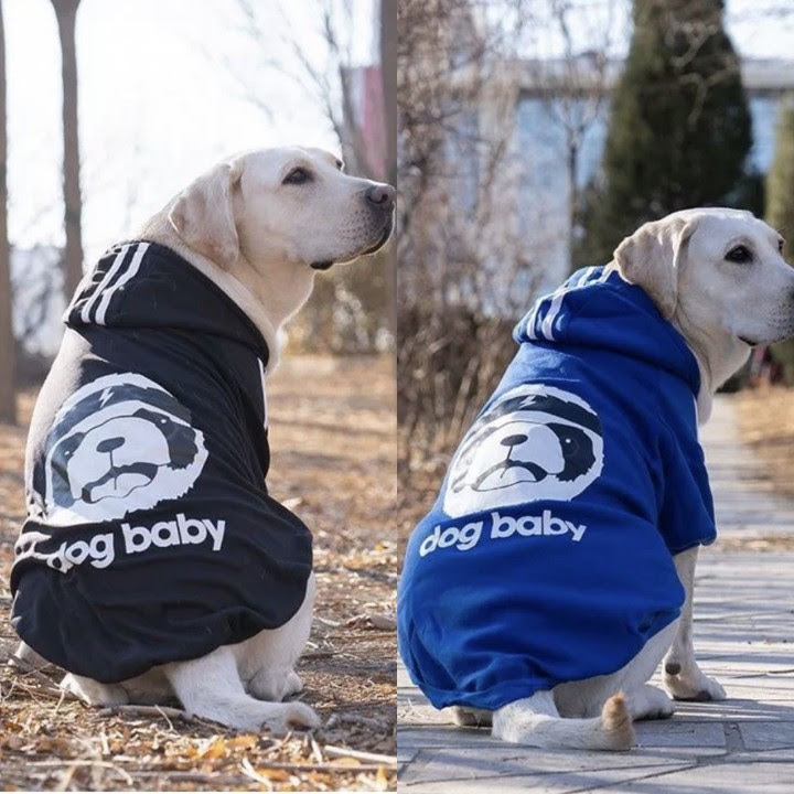 ÁO HOODIE CHO CHÓ DOG BABY CHO CHÓ LỚN - SP000611