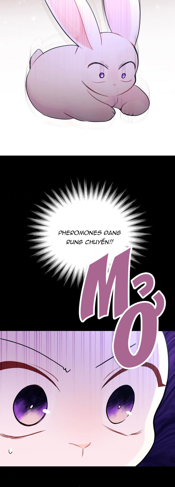 mối liên kết giữa báo đen và bé thỏ chapter 27 51