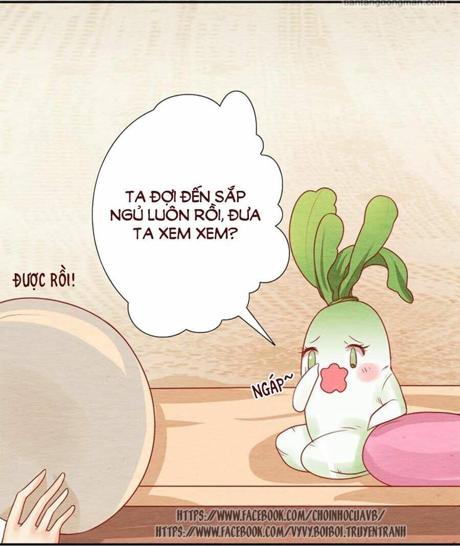 nhân hoa duyên chi sư phụ đại nhân cầu sủng ái chapter 7 27