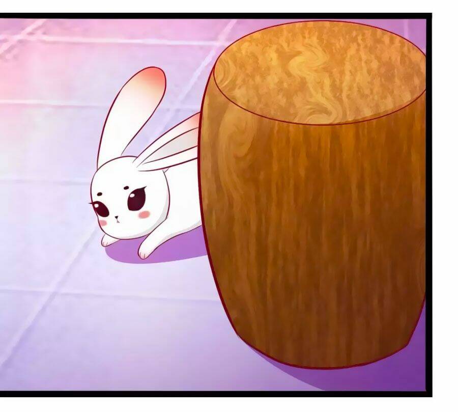 thỏ yêu tiểu vương phi chapter 49 28