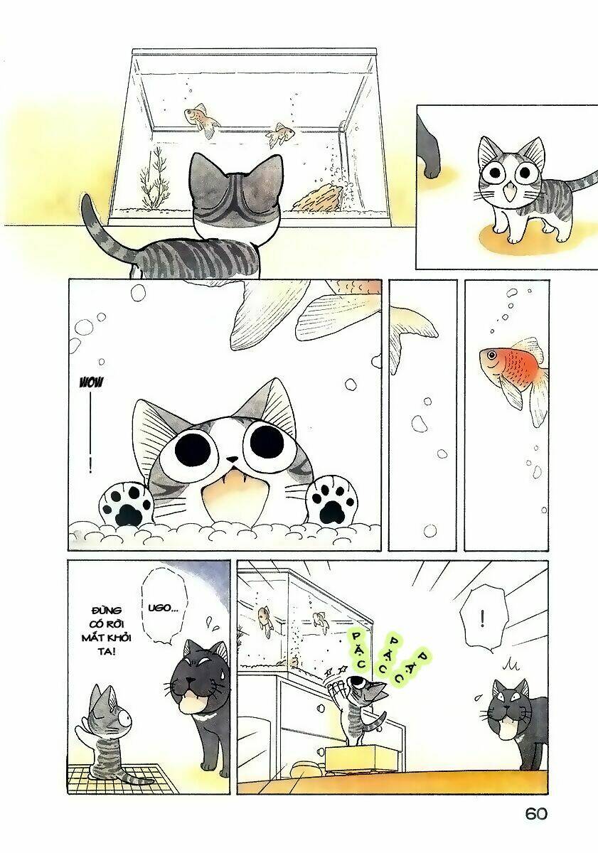 chi's sweet home chapter 46 5