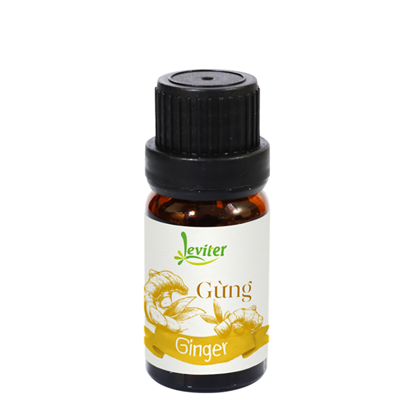 Tinh Dầu Leviter Gừng (10ml)