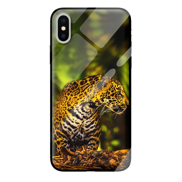 Ốp kính cường lực cho iPhone XS mèo 26 - Hàng chính hãng