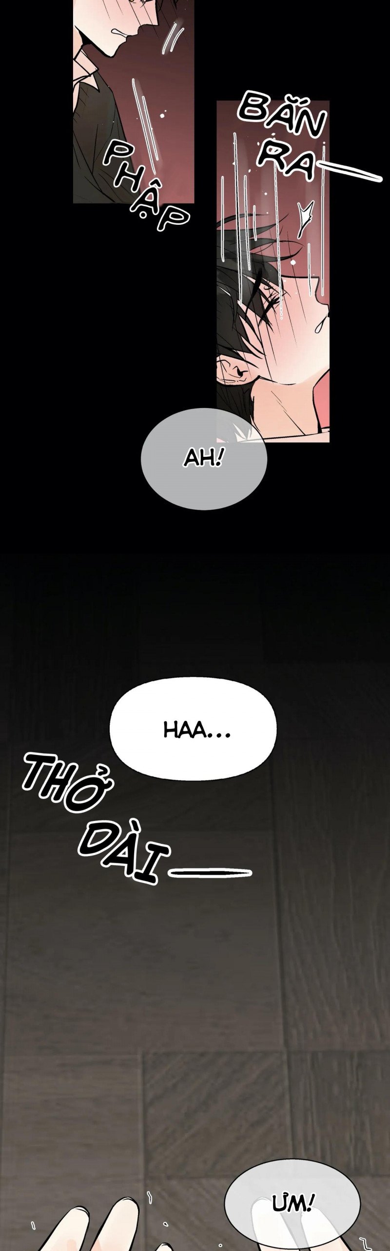 trú ẩn - haven chapter 26.5 6