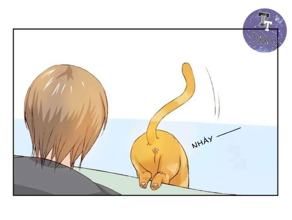 tôi không phải đa nhân cách chapter 11 36