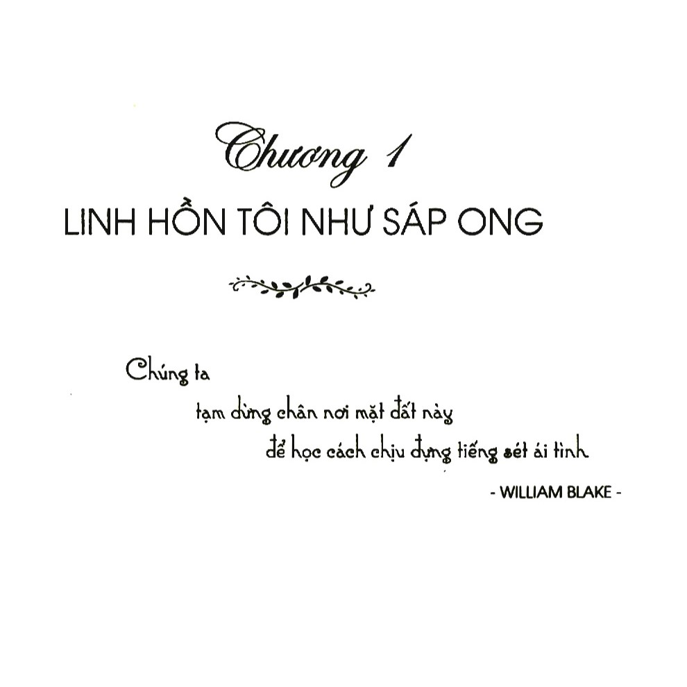 Chiếc Thang Cao Màu Xanh