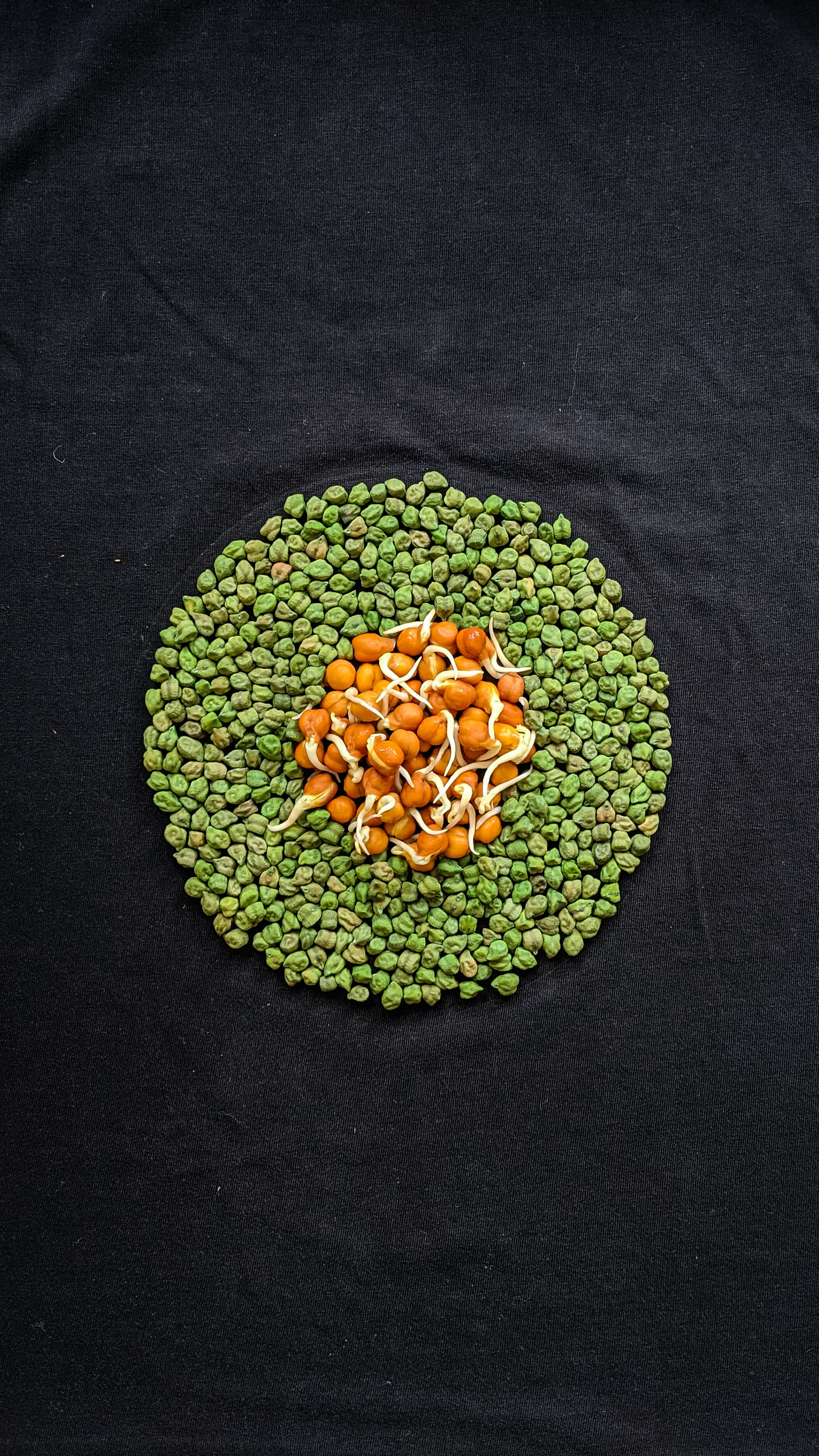 BỘT HÒA TAN ĐẬU LĂNG SỮA - LENTIL MILK INSTANT POWDER - Thương hiệu Hùng Phát: Thành Phần Tự Nhiên-Không hHương Liệu - Không Phẩm Màu - Không Chất Bảo Quản