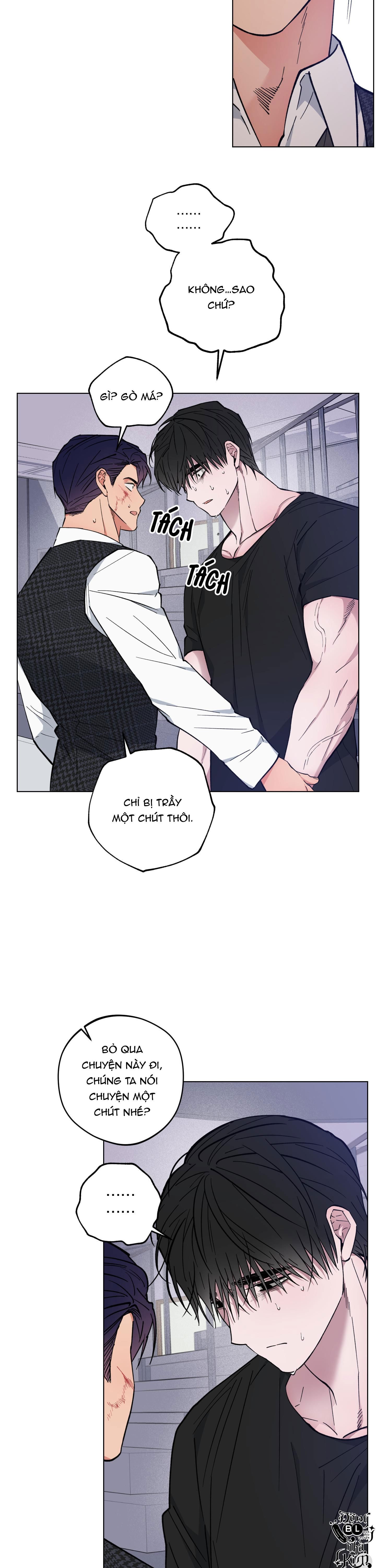 bình minh của rồng chapter 22 23