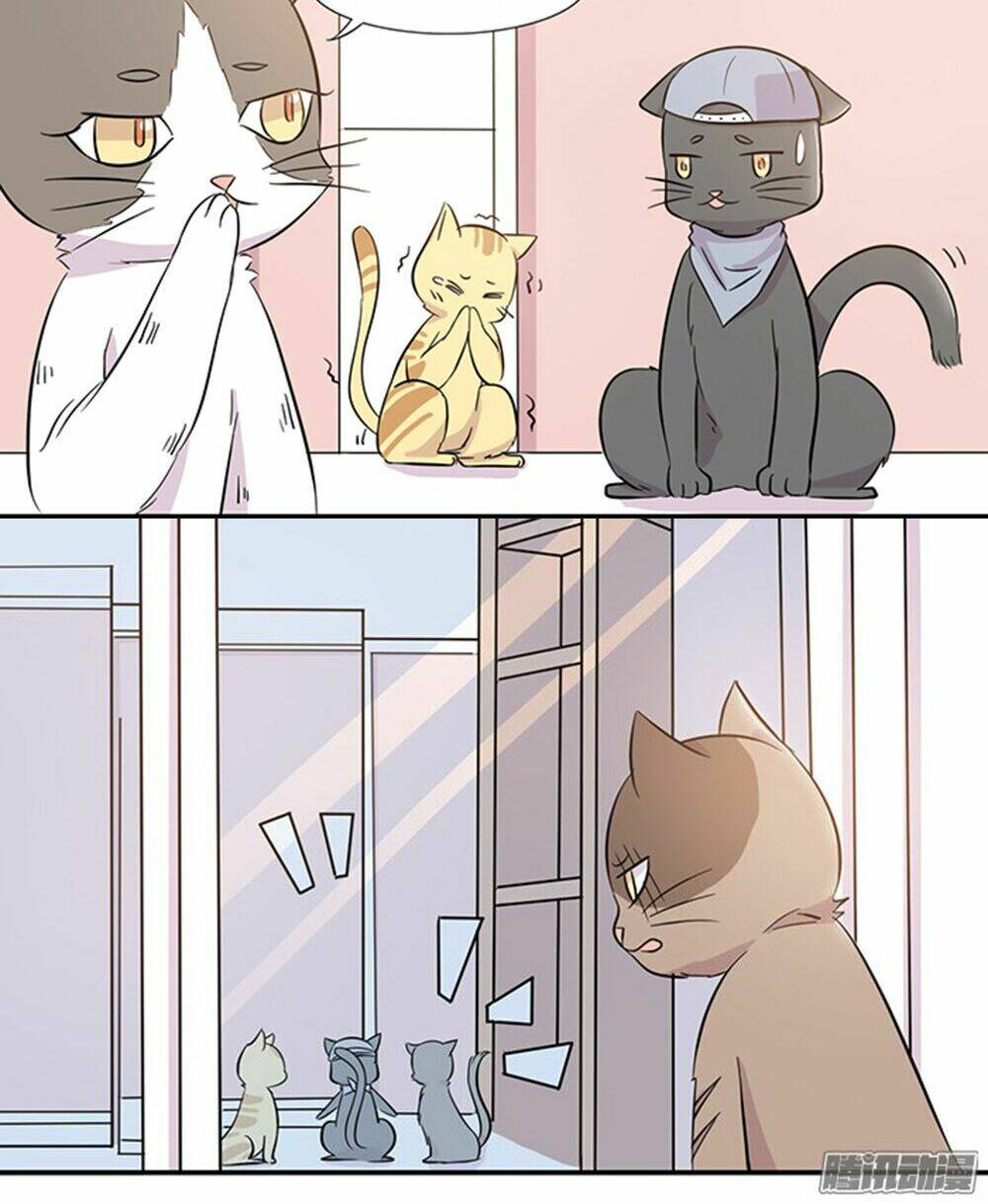 hai chú mèo totem chapter 14 16