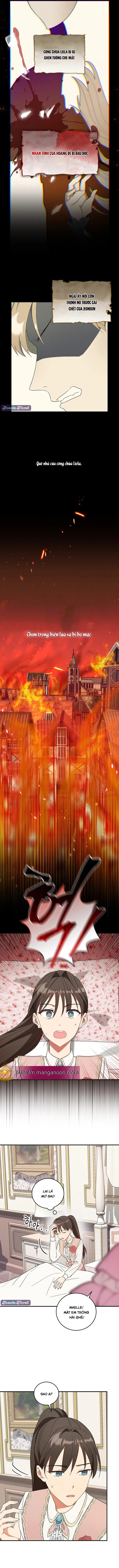 chạy đi, maelle chapter 2 8