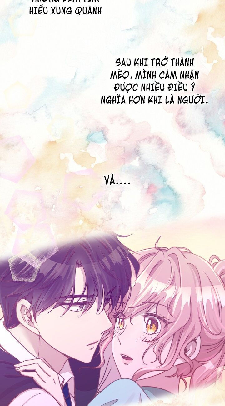 cuộc sống kỳ thú chapter 30 54