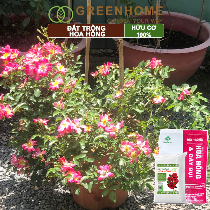 Đất trồng hoa hồng hữu cơ, bao 5kg, trộn sẵn, đầy đủ dinh dưỡng, kháng bệnh tốt, sai hoa, bông to |Greenhome