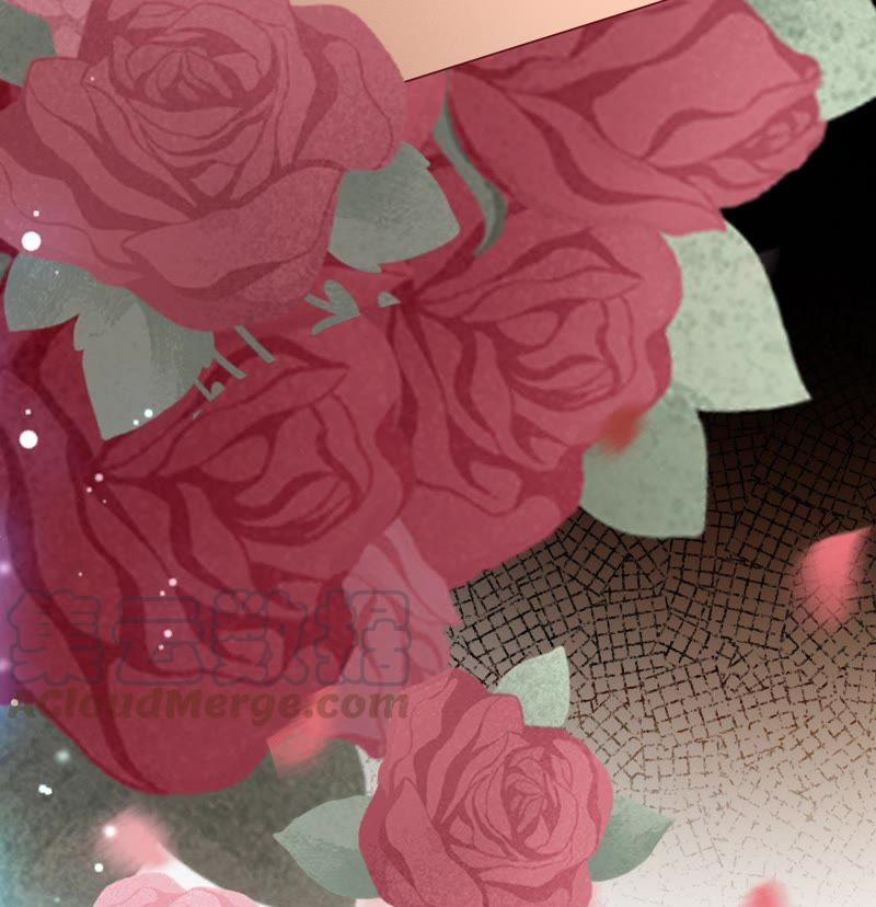 thần luân mật luyến chapter 116 35