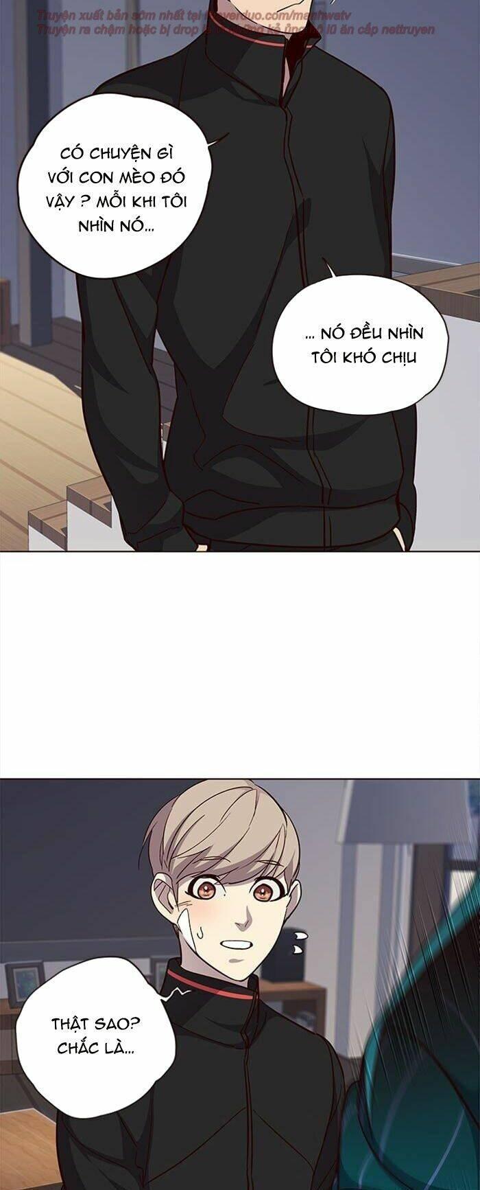 biến thân thành mèo chapter 35 15