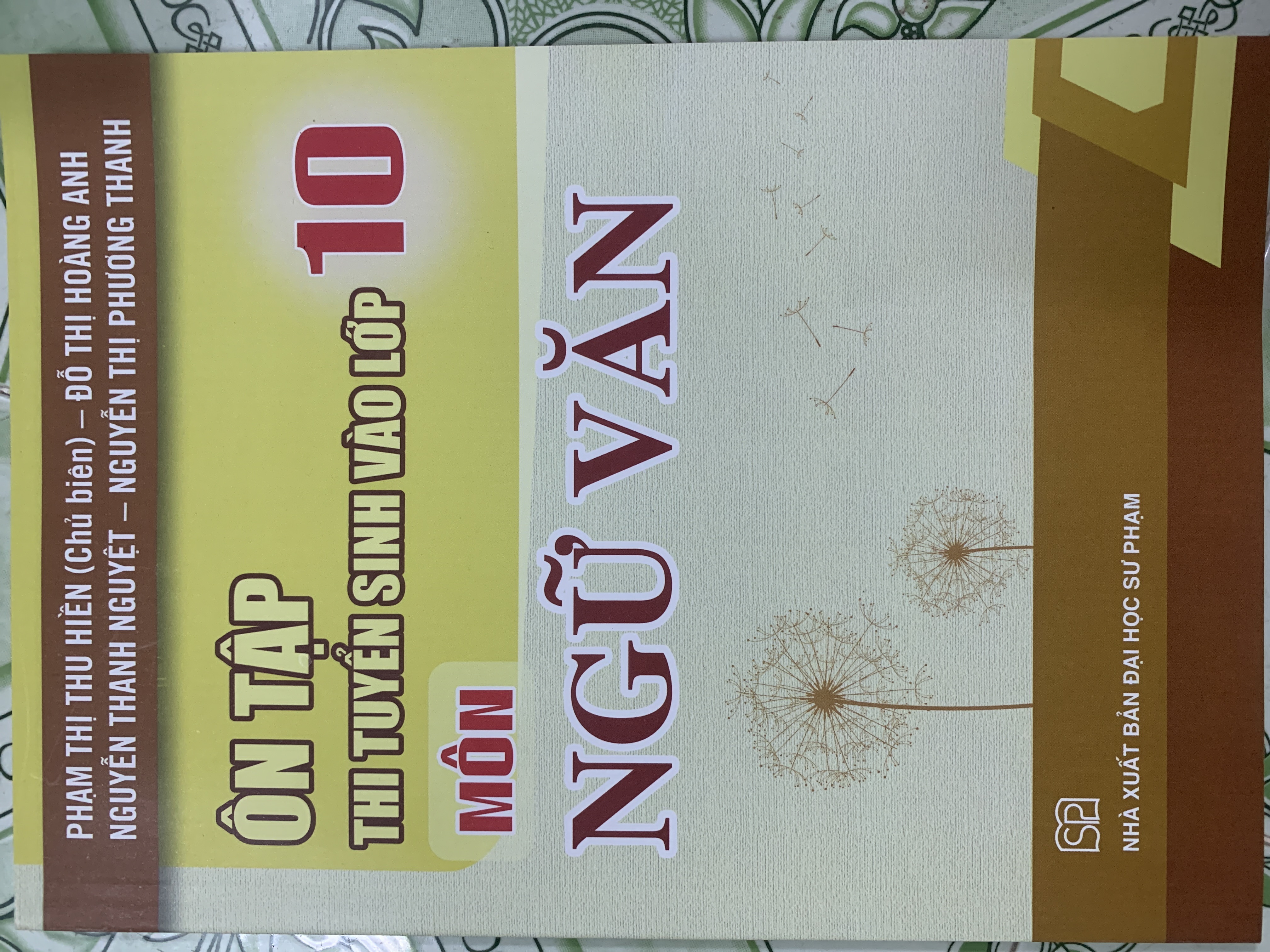 Ôn Tập Thi Tuyển Sinh Vào Lớp 10 Môn Ngữ Văn